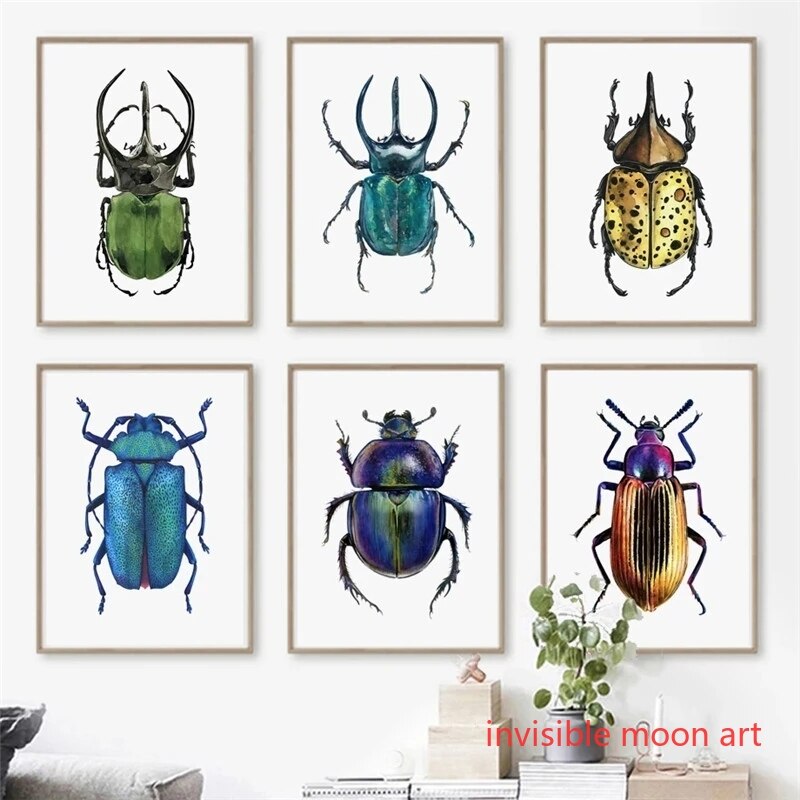 Vintage Collectible Posters - Vintage böcek sanat renkli Beetle koleksiyonu
